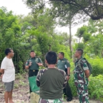 Kompi Produksi Kodim 1604 Kupang Siap Dikembangkan