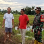 Babinsa Kelurahan Bugis Tinjau Lahan KDKMP di Belakang Kediaman Bupati