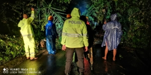 Polsek Dawan Bersama BPBD Tangani Pohon Tumbang di Desa Paksebali.