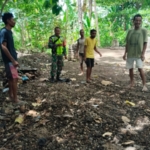 Babinsa Kotabaru Lakukan Monitoring Wilayah, Pastikan Situasi Desa Tou Barat Aman