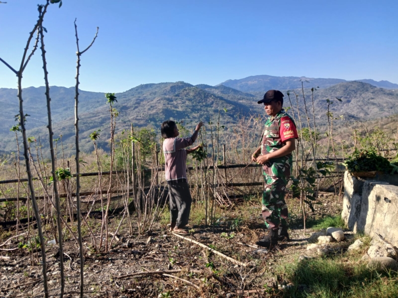 Babinsa Himbau Warga Manfaatkan Lahan Kosong Menjadi Lahan Produktif