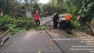 Respons Cepat Polsek Bebandem dan BPBD, PLN dan Masyarakat Tangani Pohon Enau Tumbang yang Tutup Jalur Raya Telaga Sibetan