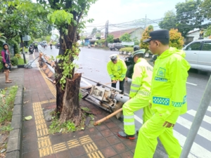Hujan Deras Picu Dua Tiang Lampu Jalan Tumbang di Denpasar Selatan, Polisi Bergerak Cepat Amankan Lalin