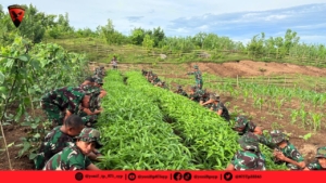 Panen Raya Yonif TP 875/SYP, Prajurit dan Warga Calabai Bersama Nikmati Hasil Bumi