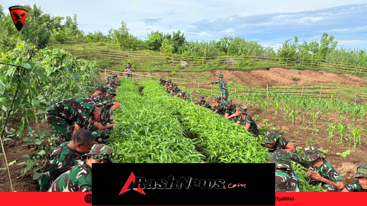 Panen Raya Yonif TP 875/SYP, Prajurit dan Warga Calabai Bersama Nikmati Hasil Bumi