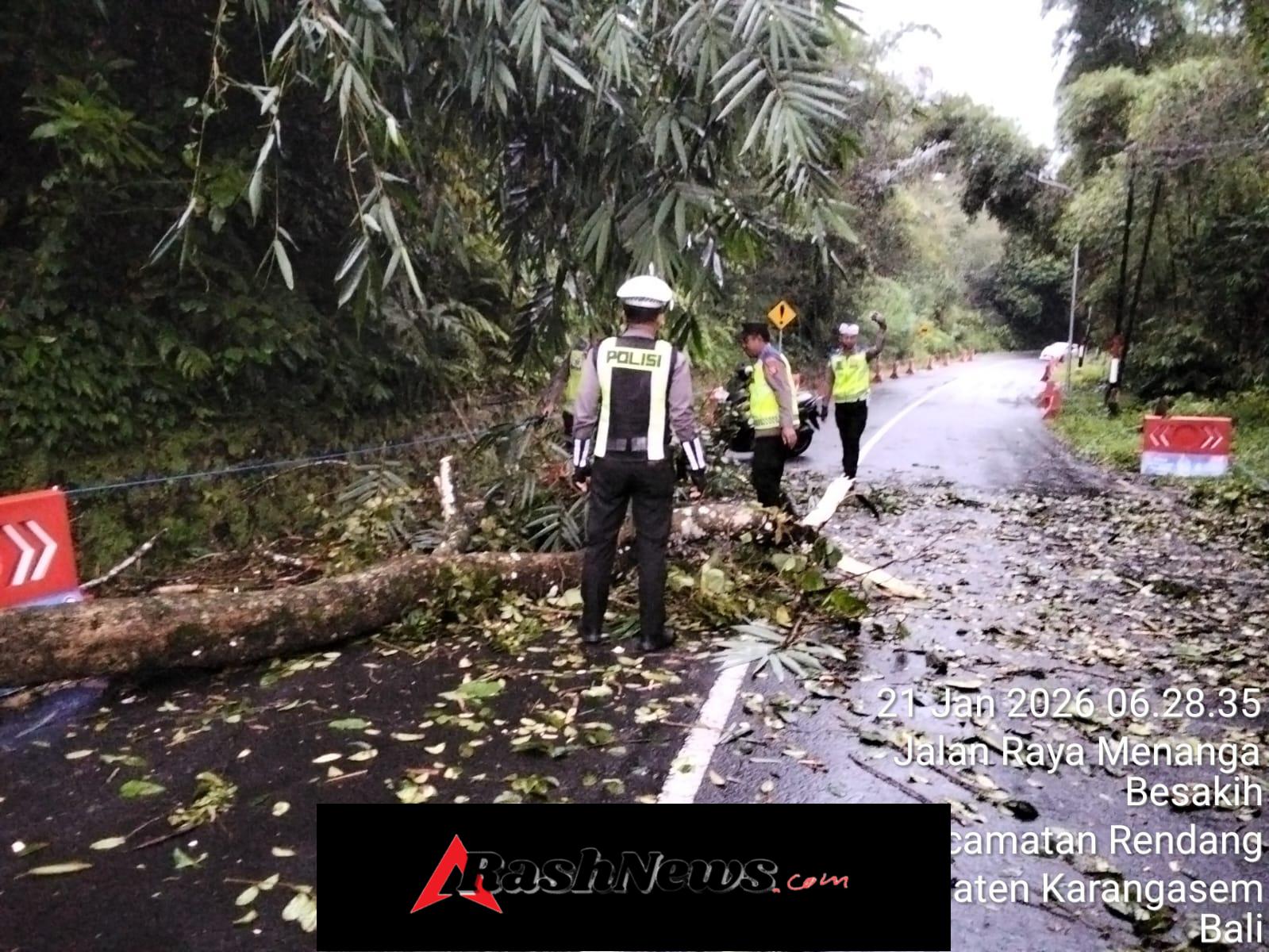 Pohon Tumbang Halangi Jalan Menanga-Besakih, Personil Polres Karangasem Sigap Evakuasi