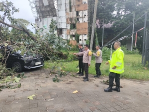 Personel Polsek Denpasar Utara Tanggap Tangani Pohon Ketapang Tumbang Timpa Mobil di Parkiran GOR Ngurah Rai