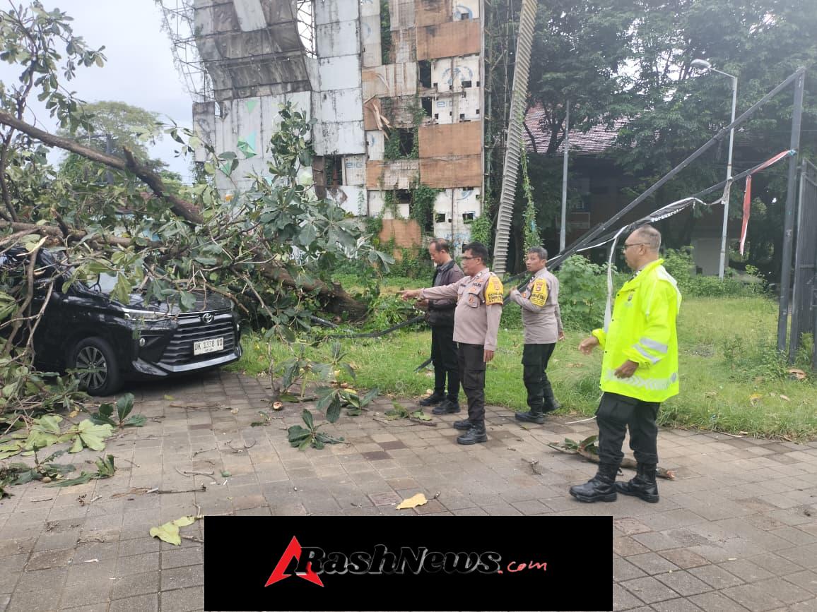 Personel Polsek Denpasar Utara Tanggap Tangani Pohon Ketapang Tumbang Timpa Mobil di Parkiran GOR Ngurah Rai