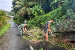 Wujud Nyata Kemanunggalan TNI–Rakyat, Babinsa Batuaji Gotong Royong Bersihkan Pohon Tumbang