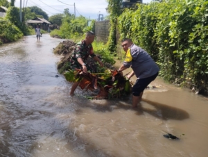 Cegah Bencana, Bhabinkamtibmas Keramas Kolaborasi Bersihkan Saluran Air Bersama TNI Dan Warga