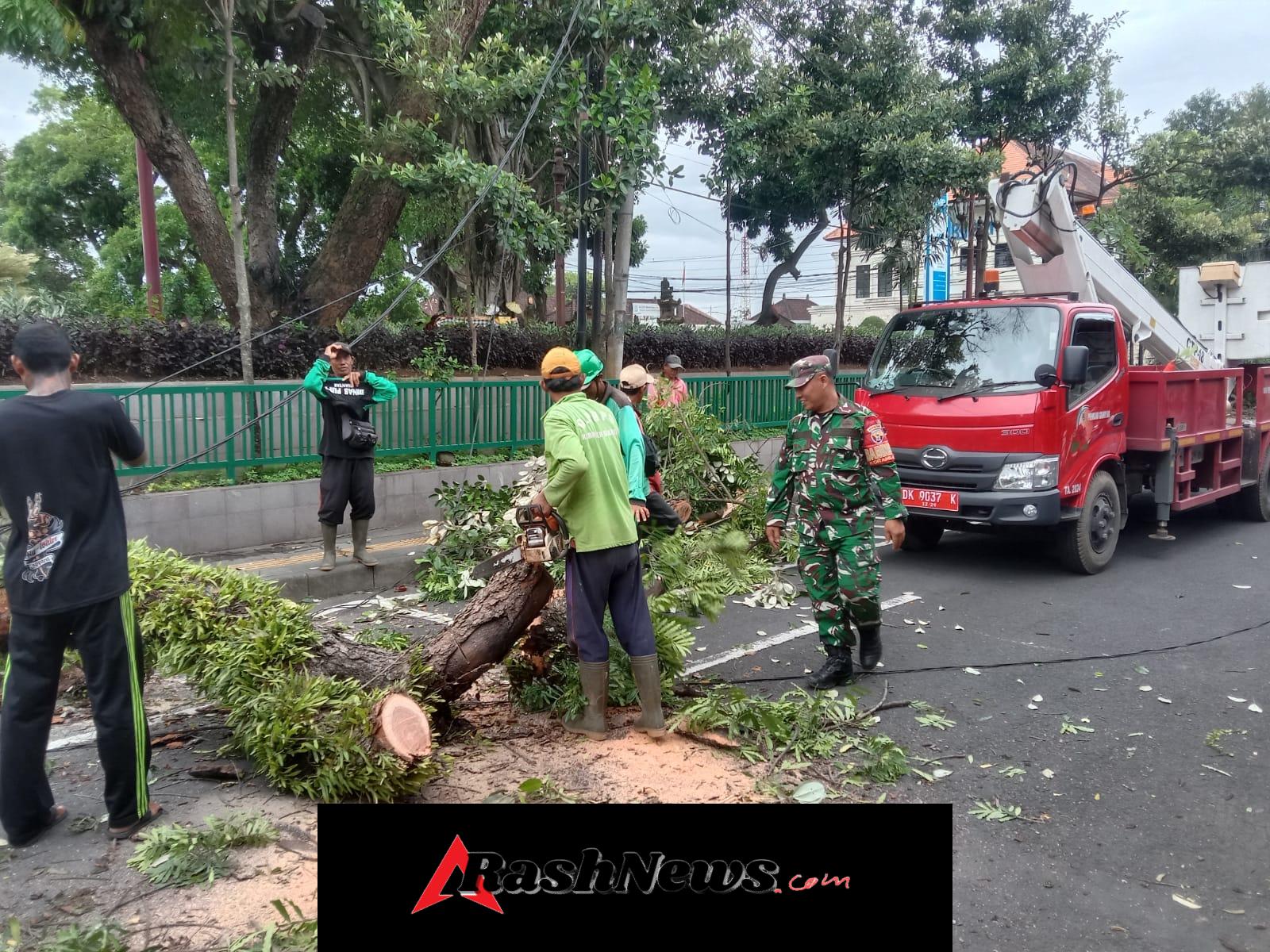 Aksi Cepat Aparat, Jalan Kapten Dipta Kembali Normal Usai Pohon Tumbang