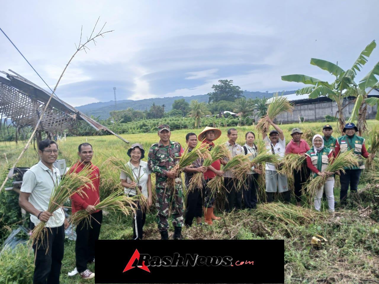 Babinsa Sertu Komang Arjawa Perkuat Sinergi Pertanian, Subak Ambengan Bukukan Hasil Ubinan Tertinggi di Kecamatan Banjar