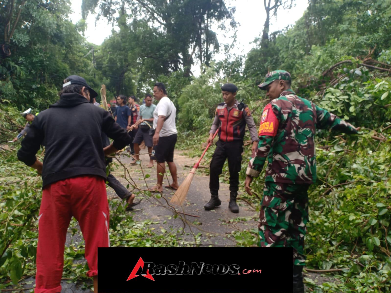 Bersama BPBD, Pelda Suni Evakuasi Pohon Tumbang Tutup Jalan Di Desa Jungutbatu