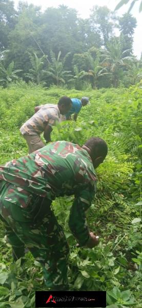 Babinsa Pos Ramil Wulla Aktif Dukung Kebersihan Lingkungan Desa Paranda