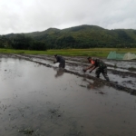 Babinsa Kodim 1601/Sumba Timur Semangat Bantu Petani di Desa Watu Bokul