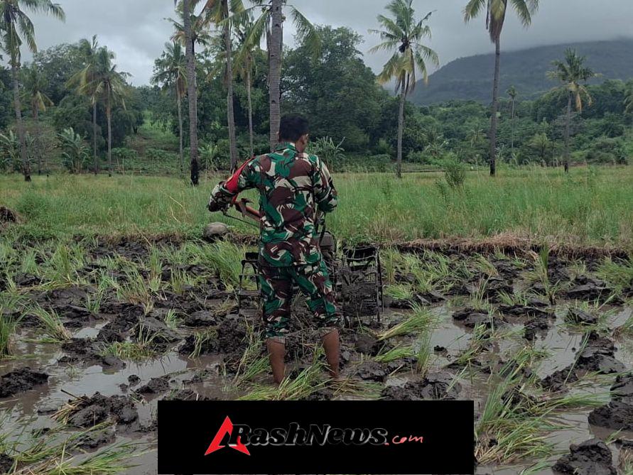 Babinsa Koramil 1603-02/Talibura Perkuat Kemanunggalan TNI dan Rakyat melalui Sektor Pertanian