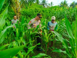 Wujudkan Ketahanan Pangan, Kapolsek Selemadeg barat Sambangi Petani di Desa Selabih
