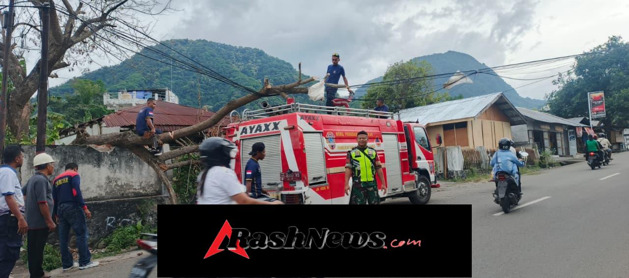 Pohon Tumbang Menimpa Pagar Warga, Babinsa dan Damkar Lakukan Pembersihan dan Pengamanan