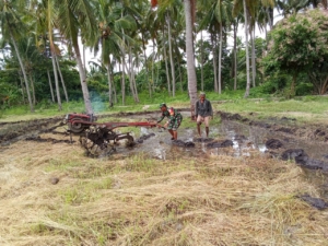 Babinsa Koramil 1624-04/Omesuri Dorong Semangat Petani Hadapi Musim Tanam