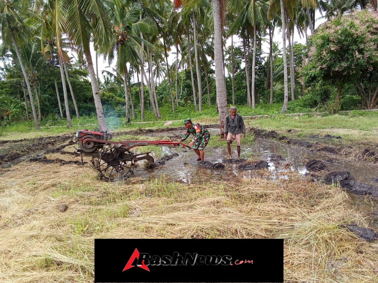 Babinsa Koramil 1624-04/Omesuri Dorong Semangat Petani Hadapi Musim Tanam