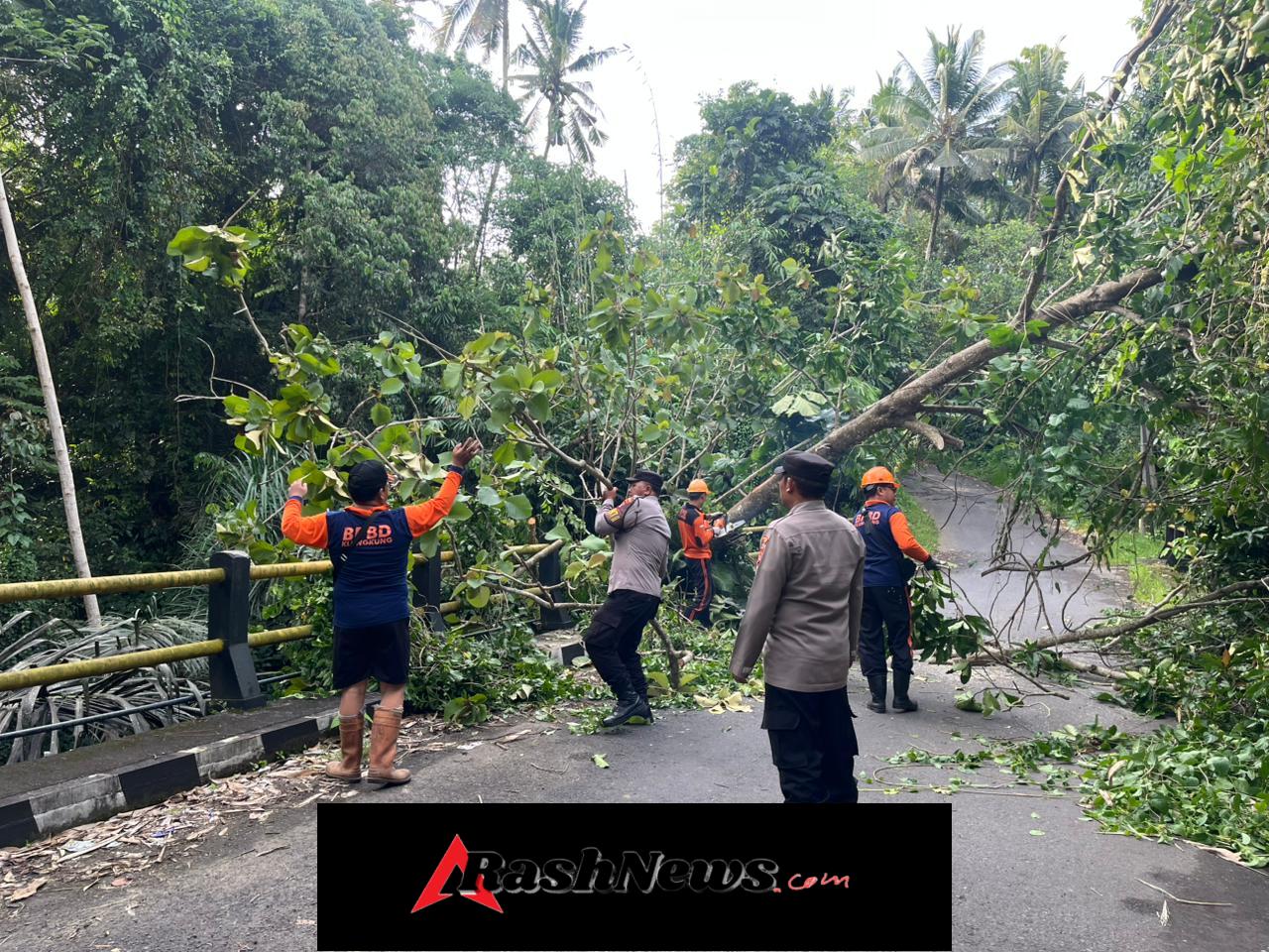 Polsek Klungkung Bersama BPBD Evakuasi Pohon Tumbang di Jalan Hyangapi Akah.