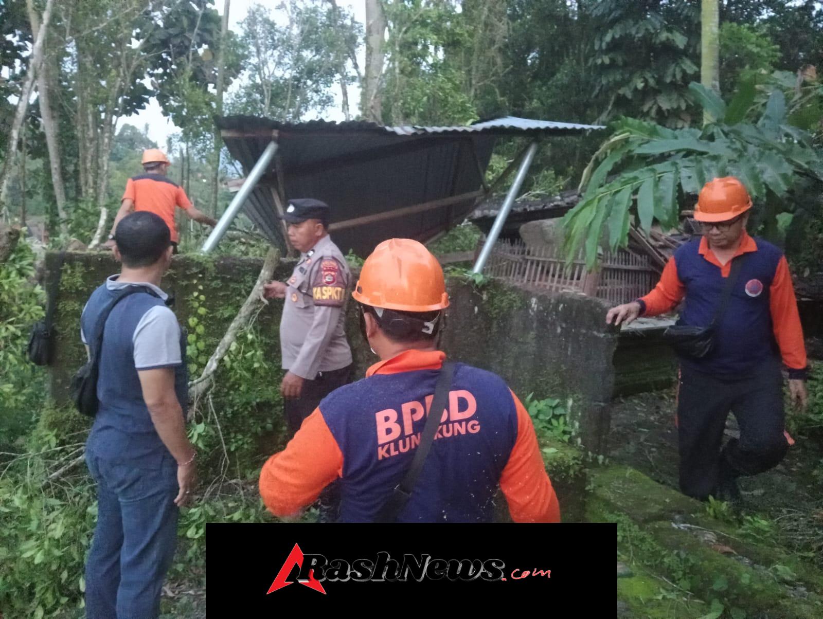 Bangunan Cagar Budaya Sarkofagus di Desa Tegak Roboh Tertimpa Pohon Cengkeh.