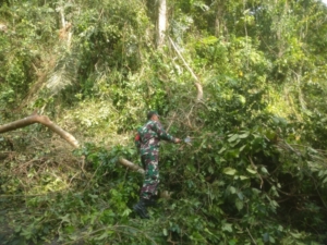 Tanggap Bencana, Babinsa Kedisan dan Warga Pulihkan Jalan Raya Tangkup