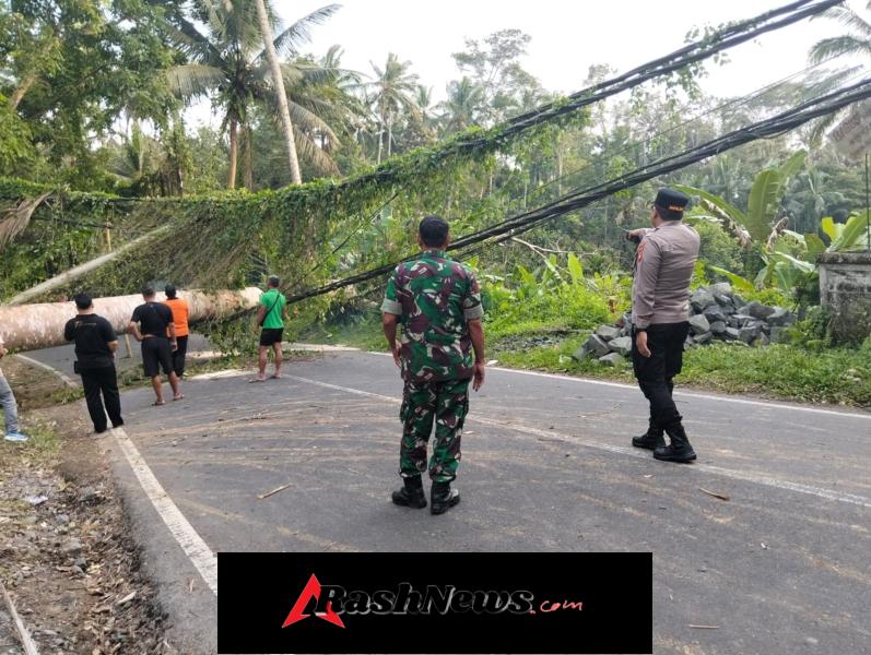 Danramil 1616-06/Tegallalang Hadir di Tengah Warga, Bencana Pohon Tumbang Berhasil Ditangani