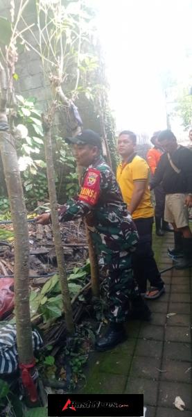 Evakuasi Musibah Pohon Tumbang, Serka Made Arta Tunjukkan Respon Cepat Babinsa Atasi Kesulitan Masyarakat