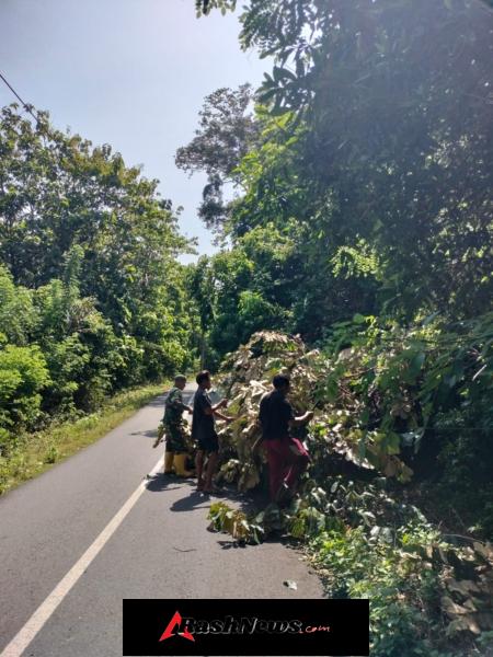 Babinsa Desa Tongo Sigap Bersihkan Pohon Tumbang Demi Kelancaran Lalu Lintas