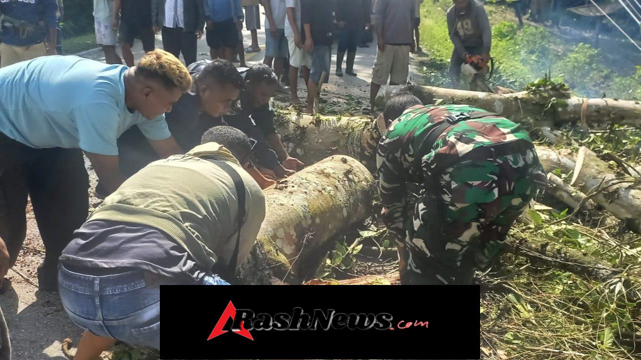 Kemanunggalan TNI-Rakyat, Babinsa Bantu Evakuasi Pohon Tumbang di Diratana