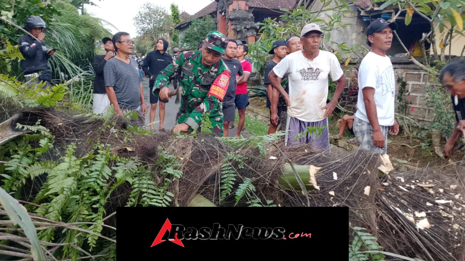 Babinsa Tembuku Tanggap Bantu Warga Terdampak Pohon Enau Tumbang