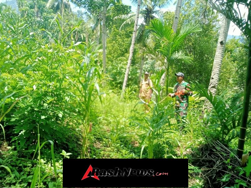 Babinsa Mauponggo Dampingi Peninjauan Lahan Koperasi Merah Putih Desa Lewangera