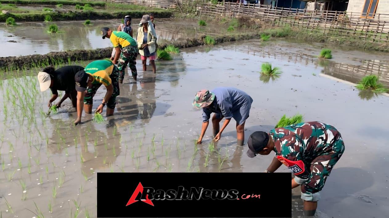 Yonarmed 12 Kostrad Pos Motaain Dukung Ketahanan Pangan di Wilayah Perbatasan