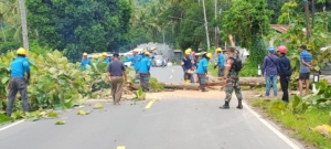 Babinsa Koramil 1628-01/Taliwang Kawal Penebangan Pohon di Kelurahan Sampir