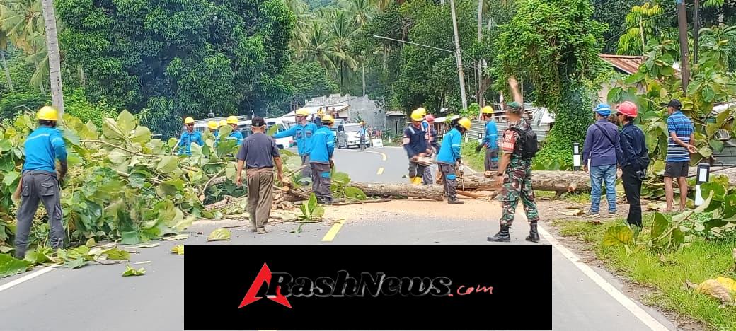Babinsa Koramil 1628-01/Taliwang Kawal Penebangan Pohon di Kelurahan Sampir