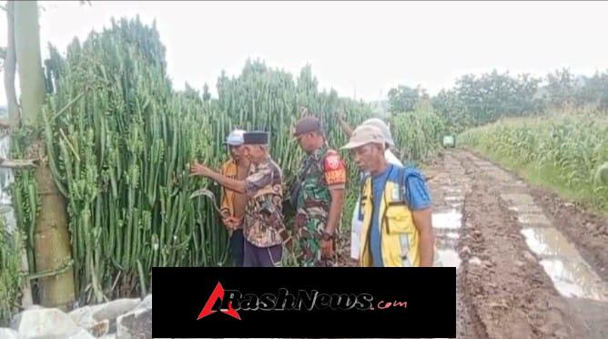 Jaga Kondusifitas Wilayah, Babinsa Lanci Jaya Monitoring Bersama Warga