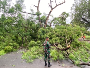 Wujud Kepedulian TNI di Wilayah Binaan, Babinsa Koramil Alok Amankan Pengguna Jalan