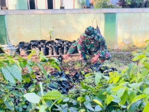 Hijaukan Lingkungan, Anggota Kodim 1613/Sumba Barat Siapkan Bibit Pohon