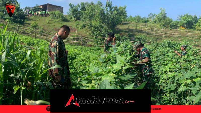 KEMANDIRIAN PANGAN: Masyarakat Calabai Nikmati Hasil Tani Personel Yonif TP 875/SYP