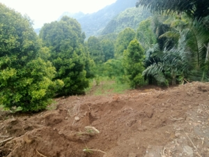 Sinergi Babinsa dan Pemerintah Desa, Peninjauan Lahan Koperasi Merah Putih Berjalan Aman 🇲🇨