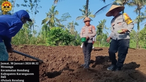 “Kapolsek Rendang Pimpin Langsung Penanaman Jagung Program Ketahanan Pangan”