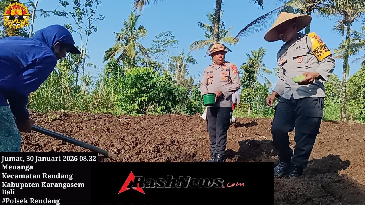 “Kapolsek Rendang Pimpin Langsung Penanaman Jagung Program Ketahanan Pangan”