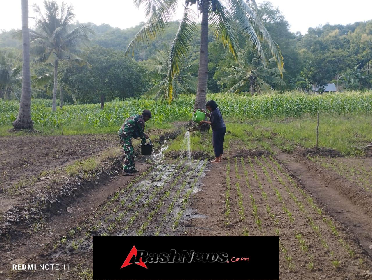 Babinsa Ajak Warga Tekun Merawat Tanaman Demi Tambahan Penghasilan