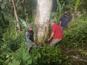 Aksi Nyata Danramil 1609-07/Busungbiu Pulihkan Ekosistem Hutan Lindung Pemelasan