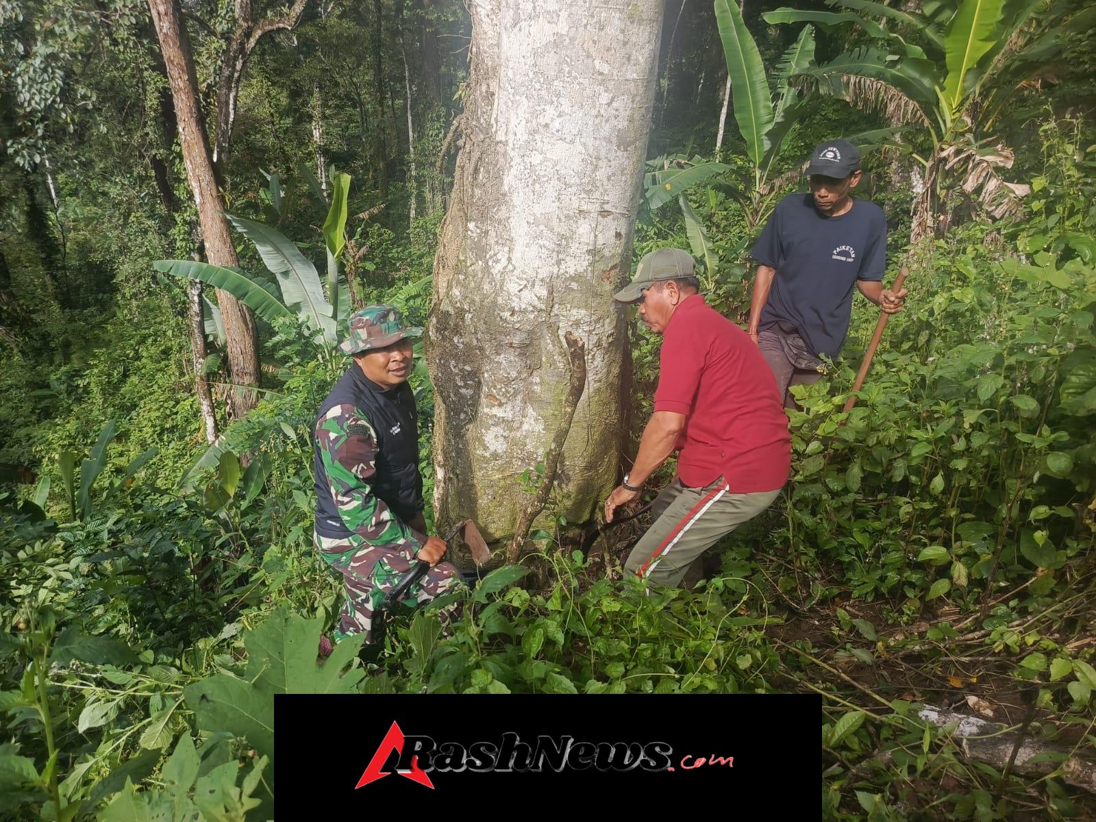 Aksi Nyata Danramil 1609-07/Busungbiu Pulihkan Ekosistem Hutan Lindung Pemelasan