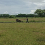 Babinsa Dampingi Petani Olah Lahan Sawah Gunakan Hand Traktor