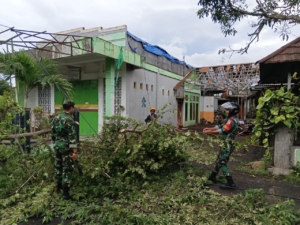 Sigap Hadapi Cuaca Ekstrem, Babinsa Wulanggitang Evakuasi Pohon Tumbang