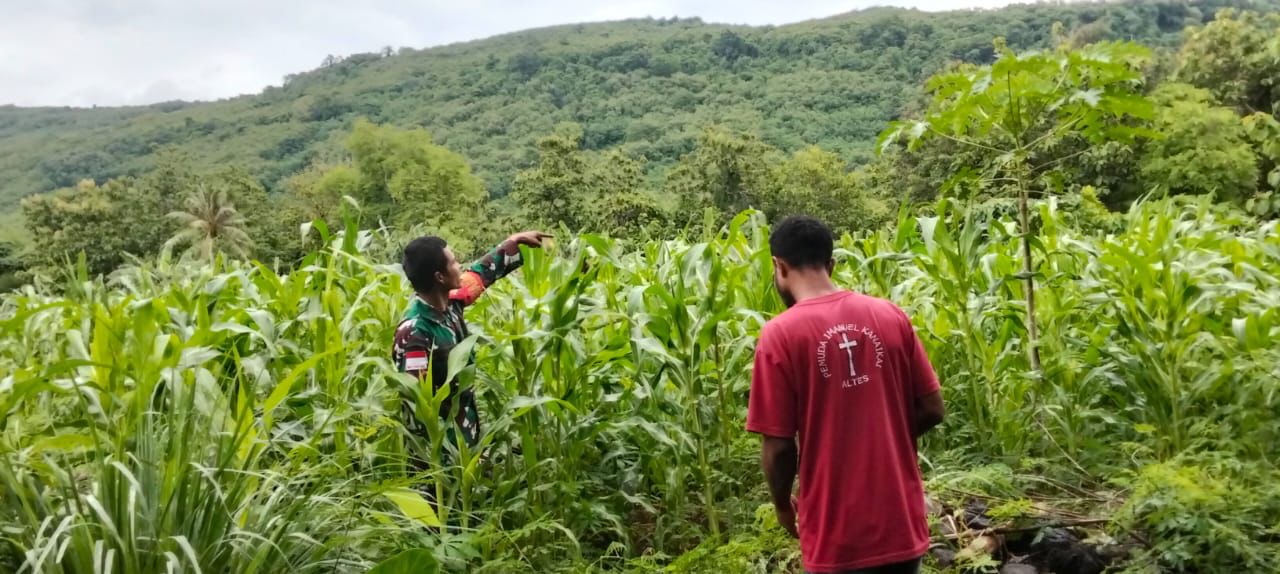 Komsos Babinsa di Desa Malaipea, Dorong Pemanfaatan Lahan Kosong