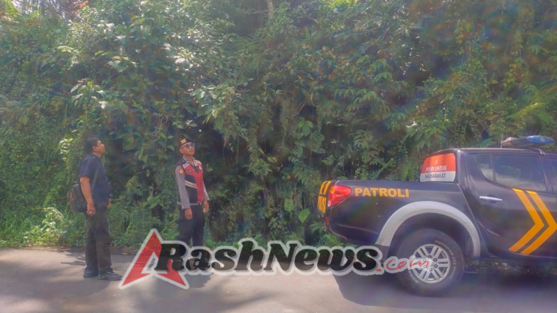 Polsek Tegallalang Laksanakan Patroli Pemantauan Daerah Rawan Longsor dan Pohon Tumbang